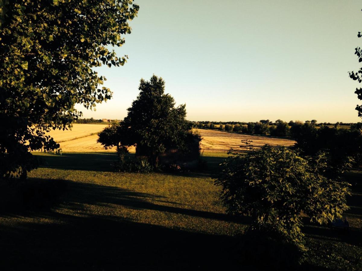 Antica Vigna Bed & Breakfast Chioggia Exterior foto
